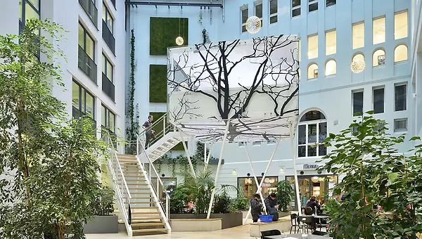 Baumhaus Wache 6 Baumhaus Wache 6