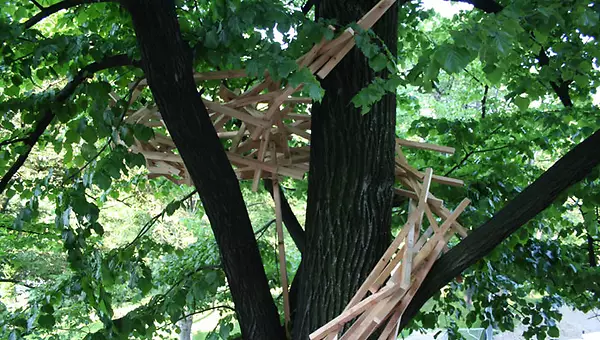 Winding Nest Winding Nest